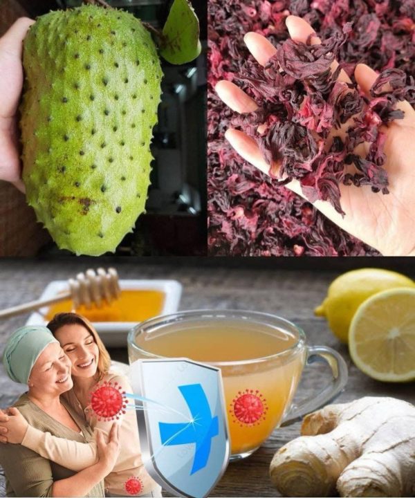 Recupera tu Bienestar con Este Poderoso Remedio Natural para la Diabetes y la Tensión