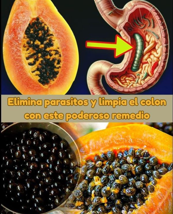 Papaya y Semillas de Papaya: Potente Aliado para el Colon y Contra Parásitos