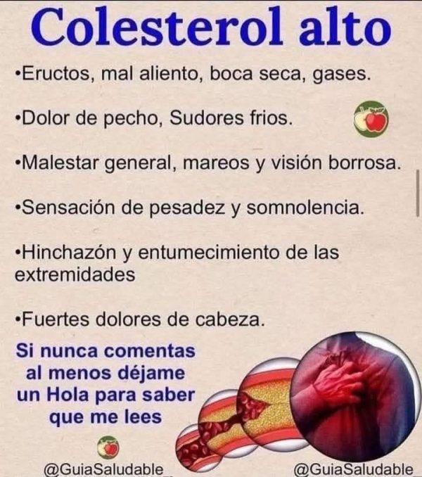 BENEFICIOS DEL COLESTEROL ALTO