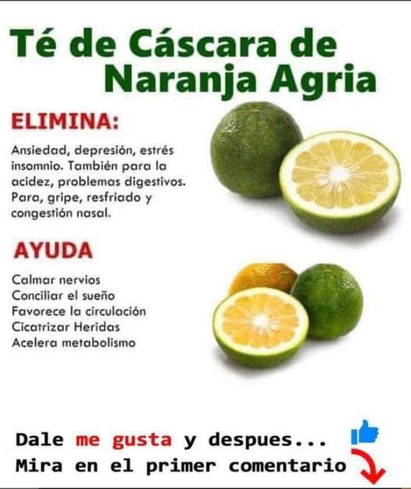 Té de Cáscara de Naranja Agria: El Secreto Digestivo y Relajante de la Abuela