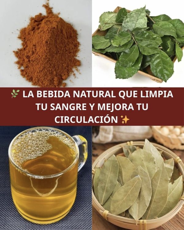 Bebida Natural para la Diabetes, la Circulación y la Presión Alta