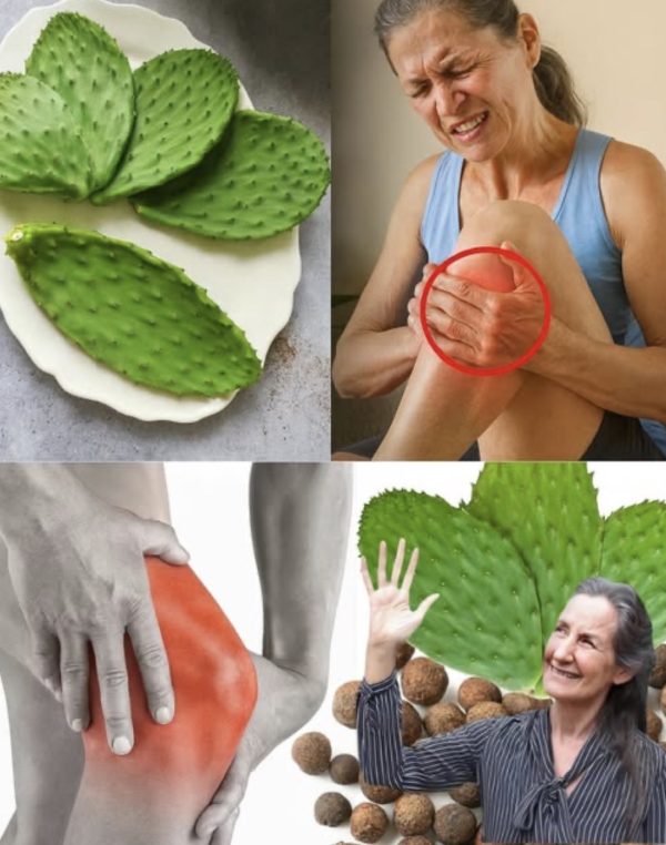 Poder Antiinflamatorio: Alivia la Hinchazón de las Articulaciones y el Dolor Óseo con Agua de Nopal