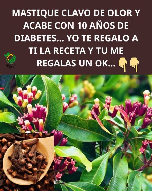 Beneficios de Masticar Clavo de Olor a Diario