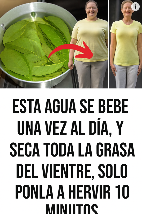 TÉ DE HOJAS DE GUAYABA PARA ADELGAZAR: BENEFICIOS, CÓMO FUNCIONA Y CÓMO PREPARARLO