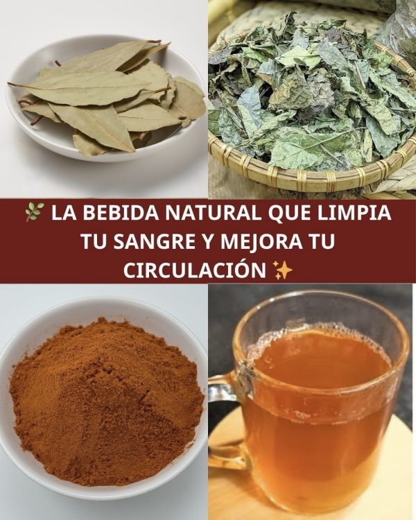 Bebida Natural para la Diabetes, la Circulación y la Presión Alta