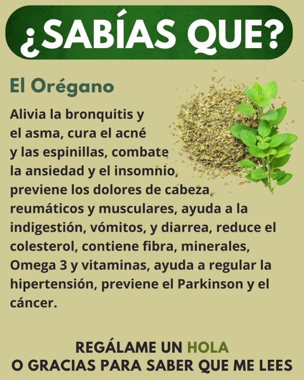 MUCHOS NO SABEN QUE EL OREGANO TIENE PROPIEDADES MEDICINALES