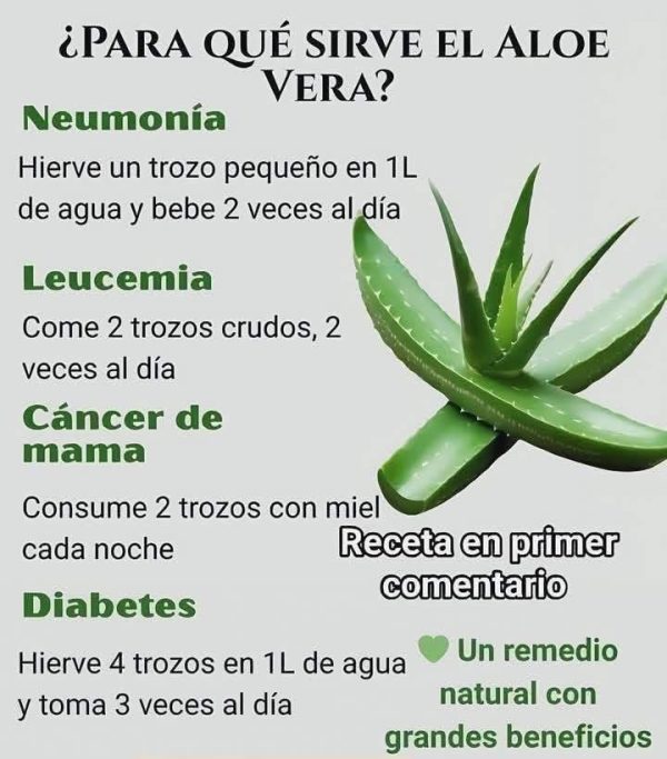 BENEFICIOS DEL ALOE VERÁ