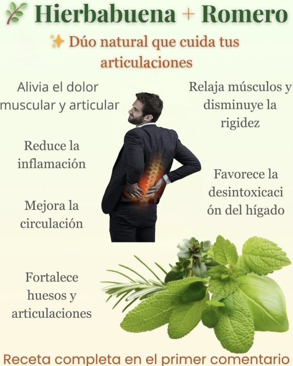 Receta de Aceite de Masaje Relajante: Romero y Menta para la Rigidez Muscular