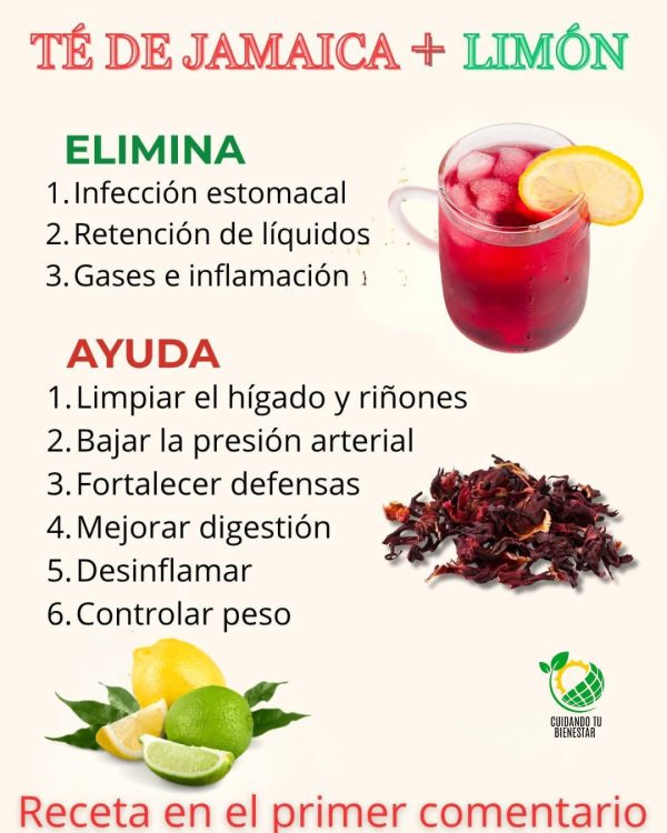 El Secreto Detox: Té de Jamaica con Limón, La Bebida que tu Cuerpo Necesita