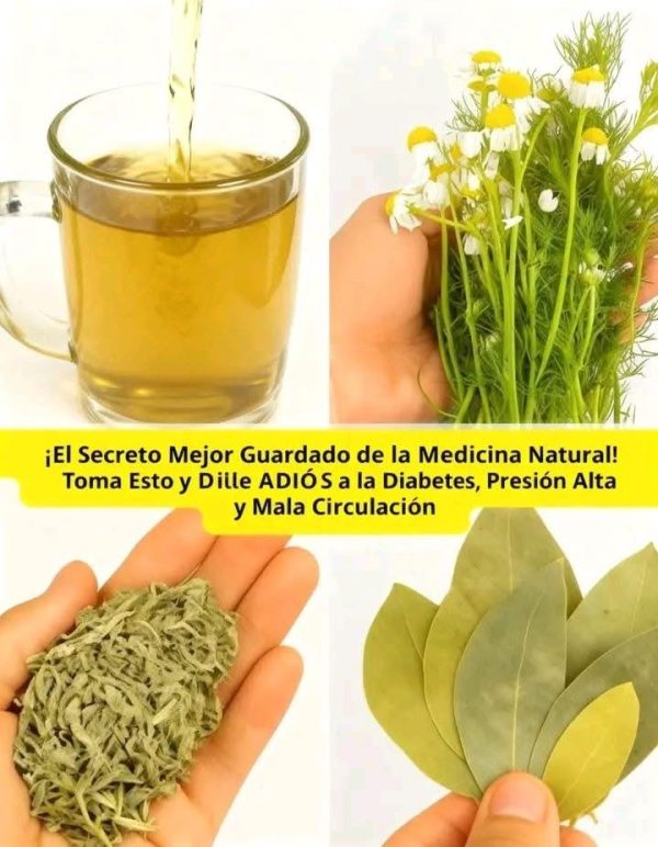 Elixir de Vida: El Secreto Milenario que Despidió a la Diabetes y la Alta Presión de mi Vida (¡Un Ángel de la Medicina Natural Revelado