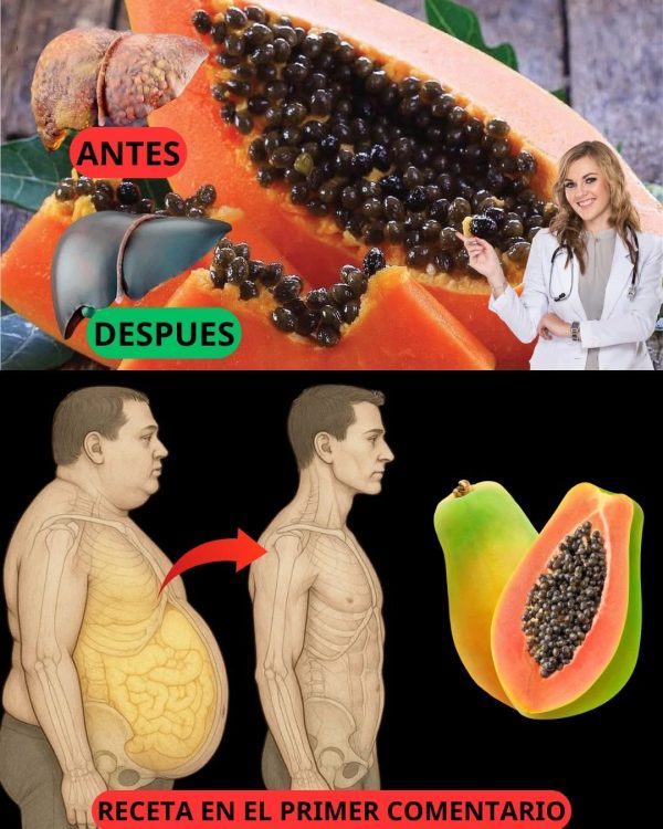 Semillas de Papaya: El Superalimento Oculto con Poder Curativo
