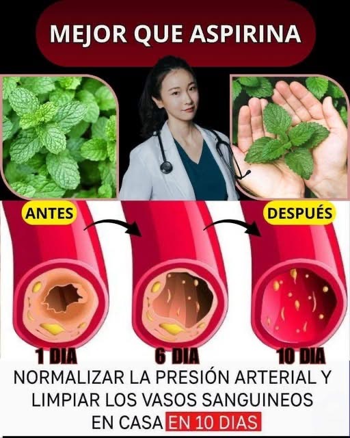 Consejos que te ayudar mantener la presión arterial estable