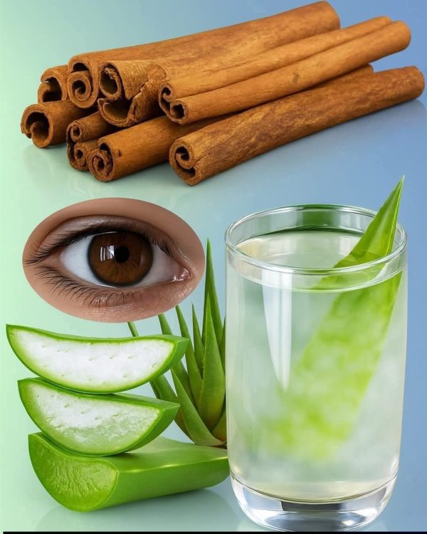 Recetas Saludables: Canela y Aloe Vera