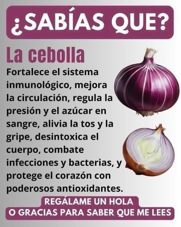 Cebolla: beneficios y propiedades