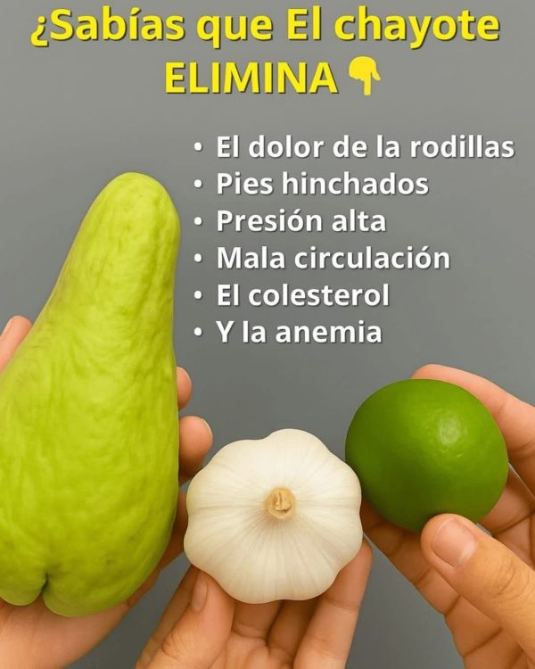 La Tayota: El Superalimento que Reduce la Hinchazón y Mejora la Circulación