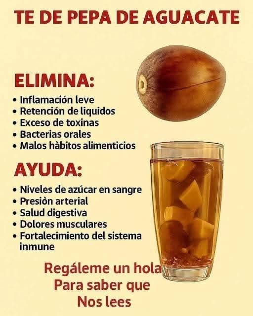 Té de semilla de aguacate: beneficios y cómo prepararlo