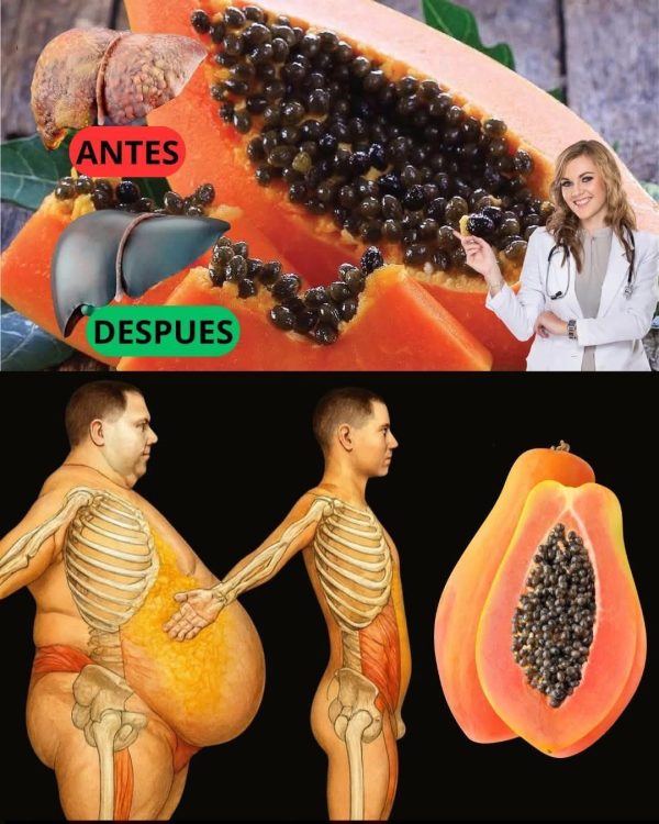 Semillas de Papaya: Beneficios para el Hígado y Pérdida de Peso