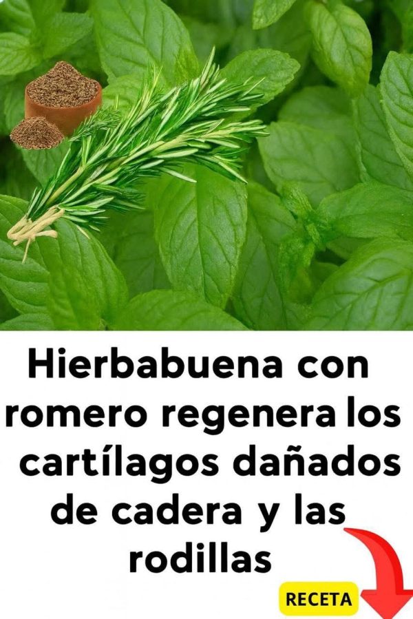 Beneficios de la Hierbabuena con Romero