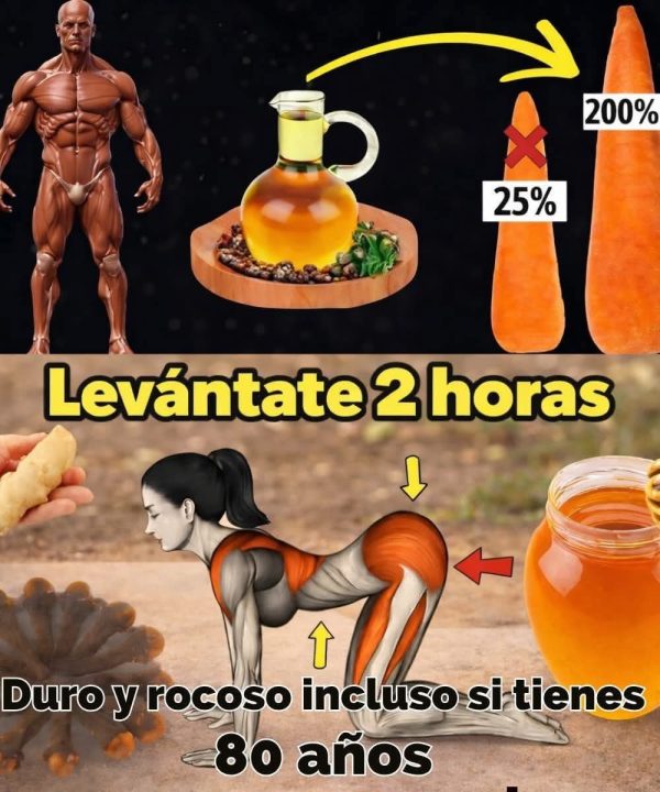 8 Razones para Integrar el Jengibre, el Clavo y la Miel a tu Vida Diaria