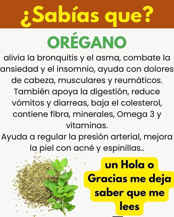 Si tienes esta planta en tu casa, tienes un tesoro y no lo sabías