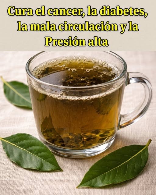 Remedios Naturales: El Té y sus Posibles Beneficios para la Salud
