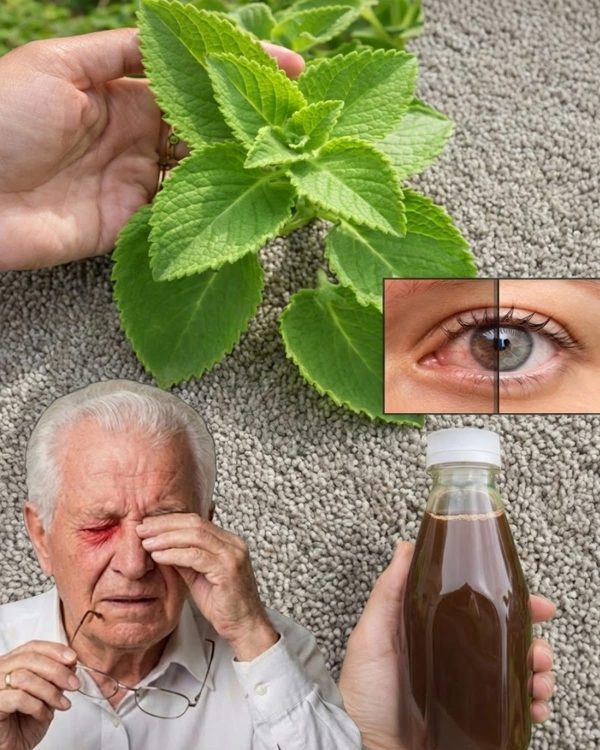 Orejón: El Secreto Natural que Puede Proteger Tus Ojos y Alejar las Cataratas