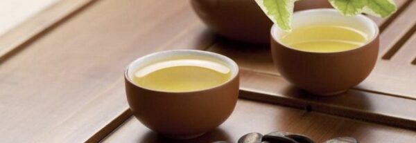 5 EXTRAORDINARIAS PLANTAS MEDICINALES PARA LIMPIAR LOS RIÑONES