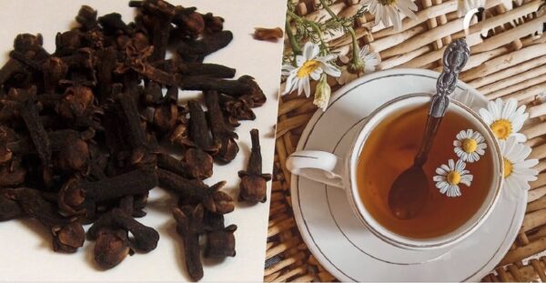 Té de Clavó de olor