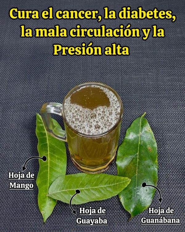 CURA EL CANCER, LA DIABETES, LA MALA CIRCULACIÓN Y LA PRESION ALTA