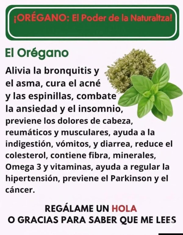 Si tienes esta planta en tu casa, tienes un tesoro y no lo sabías