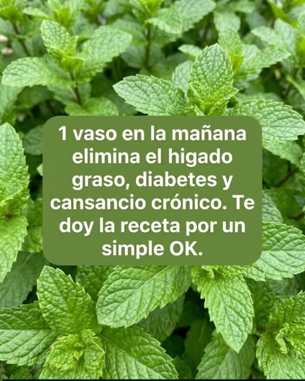 Hierbabuena con Limón: