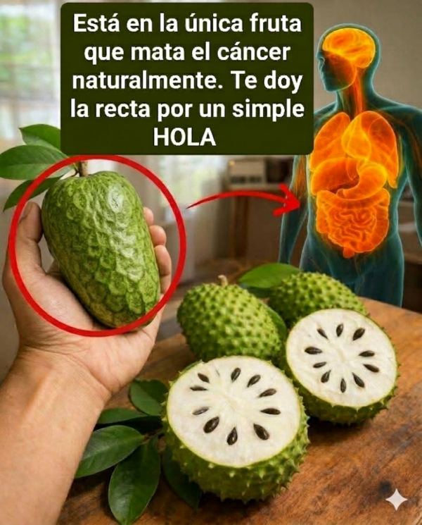 BENEFICIOS DE LA GUANÁBANA PARA EL CÁNCER