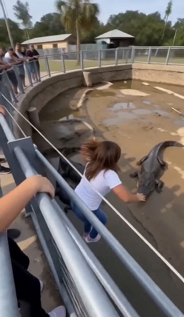 ENTRE LAS FAUCES DEL DIABLO! LA MADRE QUE SE SACRIFICÓ PARA SALVAR A SU HIJA Y EL SECRETO QUE EL ZOO NO QUIERE QUE SEPAS