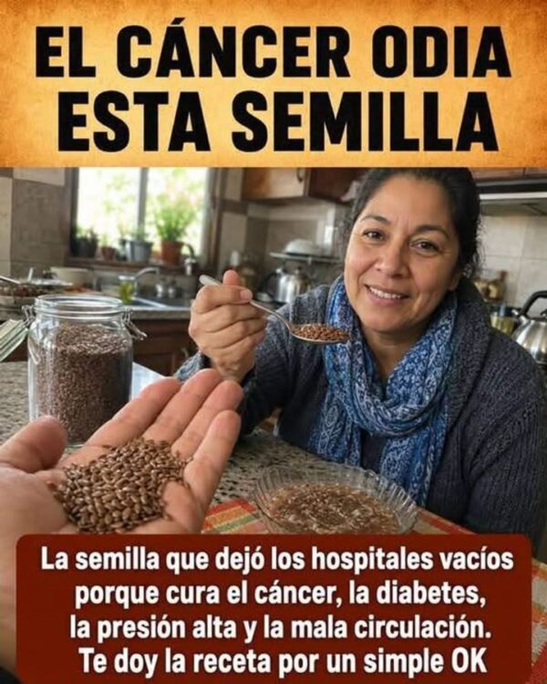 5 Semillas Poderosas para una Vida Más Saludable: Beneficios Reales y Sin Exageraciones