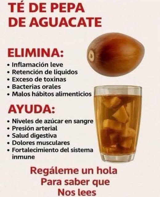 Té de semilla de aguacate un remedio natural potente para tu salud