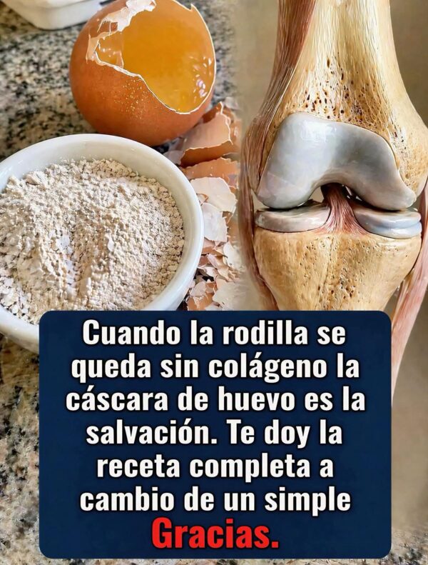 Cuando la rodilla se queda sin colágeno la cáscara de huevo es la salvación