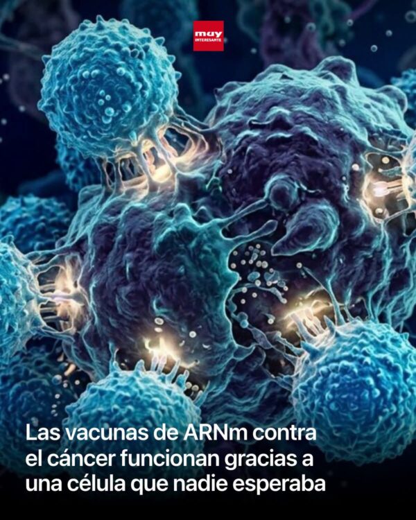 ‎Las vacunas contra el cáncer basadas en ARNm funcionan gracias a una célula que nadie esperaba.