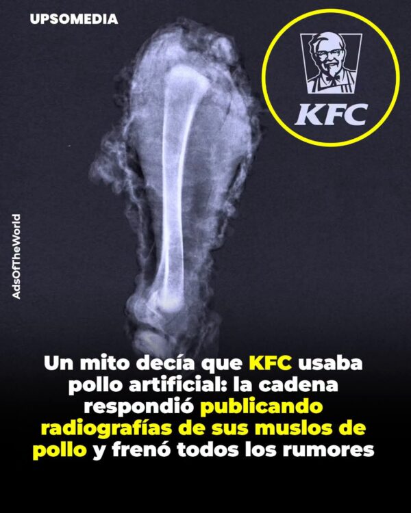 Durante años, circuló la misma sospecha: que el pollo de KFC no era realmente pollo, sino algún tipo de sustituto cultivado en laboratorio.