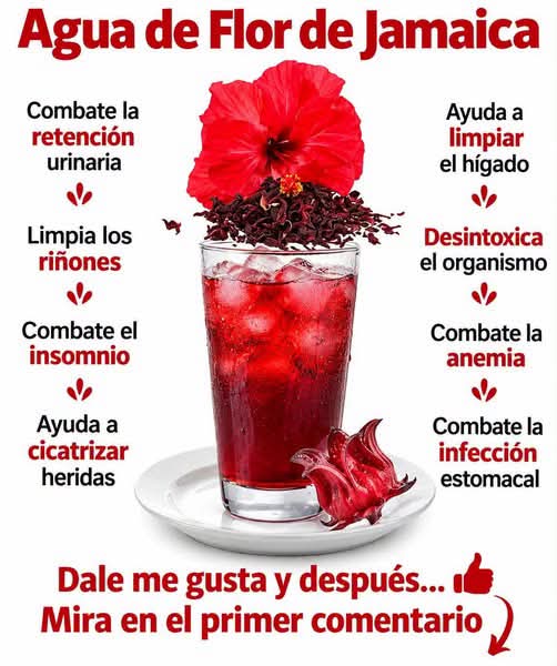 Agua de flor de hibisco: Beneficios, propiedades y precauciones