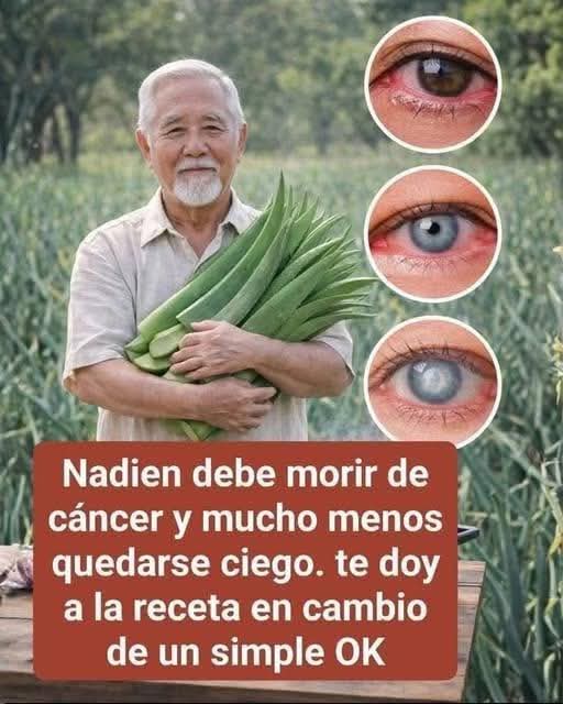 Propiedades biológicas: fisiología del aloe vera y la miel
