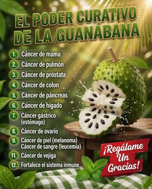 Guanábana: Beneficios, Mitos y Receta  ‎