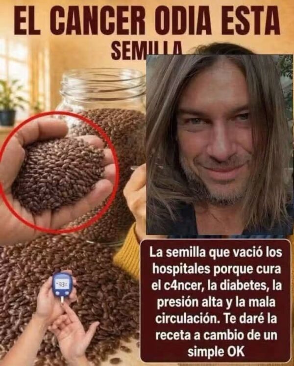 Semillas que pueden contribuir a tu salud: