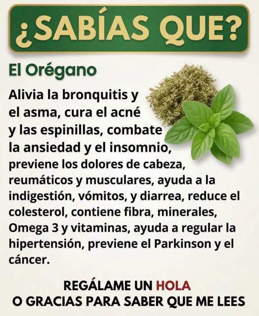 El orégano y la salud ocular: mitos, riesgos y realidad