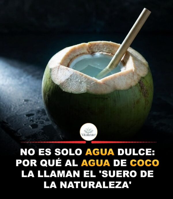 No es solo agua dulce: por qué al agua de coco la llaman el «suero de la naturaleza». 🥥