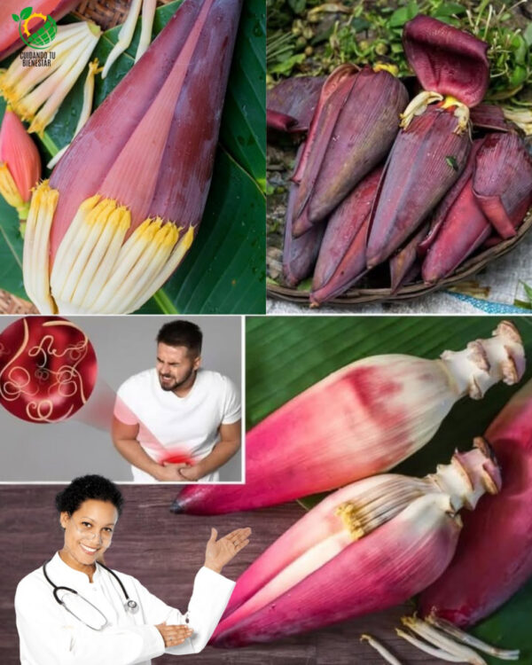 Las Flores de Plátano – El Superalimento Oculto