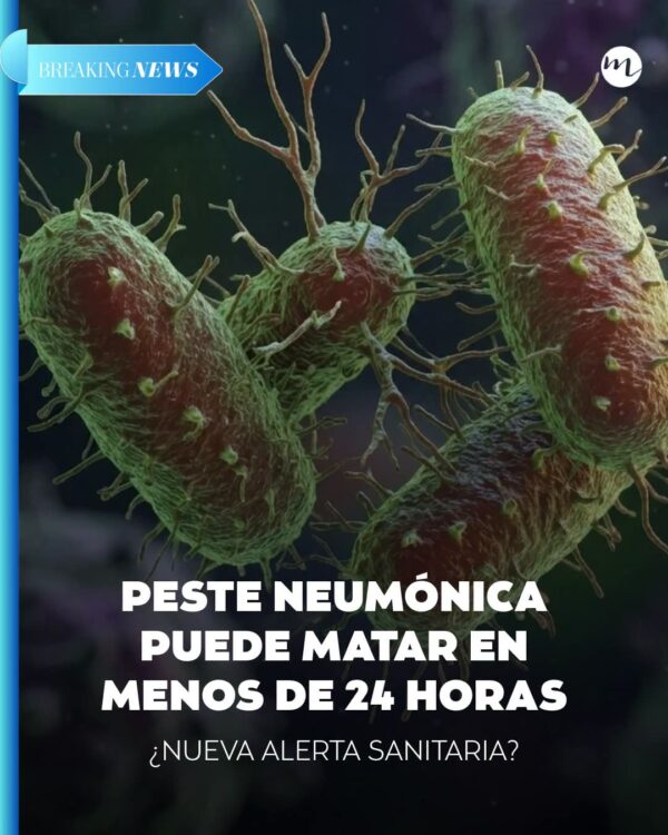 Qué tan peligrosa es la peste neumónica?
