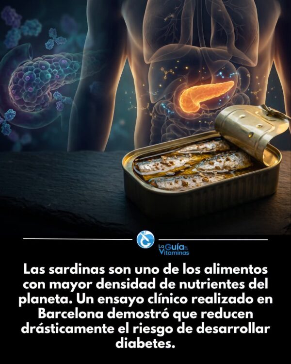 consumir dos latas de sardinas a la semana podría ayudar a reducir el riesgo de desarrollar diabetes