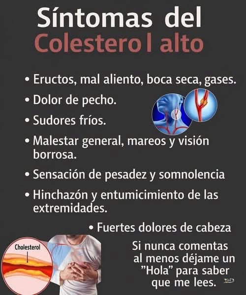 Síntomas del colesterol alto: Cómo identificarlo y actuar