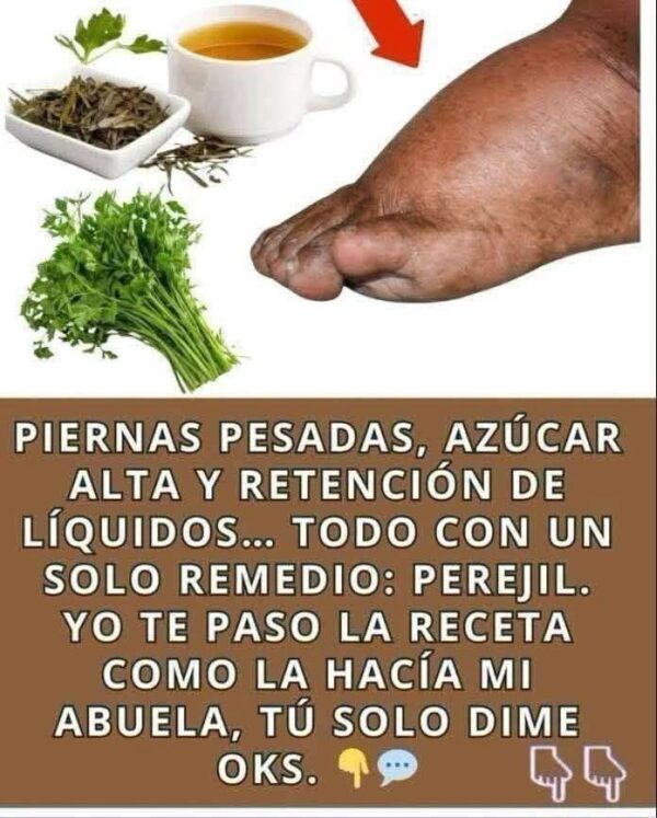 Descubre los Beneficios del Perejil en Tu Salud y Bienestar
